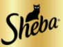 שיבא - Sheba